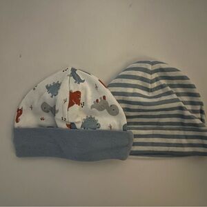 Baby Dinosaur and Striped Beanie Hat Set